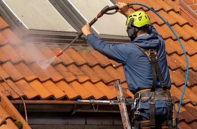 Démoussage et hydrofuge de toiture à Aveizieux